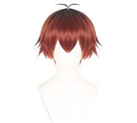 bi bi hou Stark Cosplay Parrucca Rosso 25cm Lungo Anime Frieren at the Funeral Cosplay Stark Wig Natale Halloween Carnevale Party Performance Costume Accessori Anime Parrucca Adulti