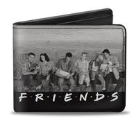 Bi-Fold Wallet FRIENDS 6-Character Lunch on a Skyscraper Vivid Grays/Black/White