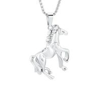 BIAIHQIE Collana con urna funeraria a Forma di Cavallo per Ceneri, Ciondolo commemorativo in Acciaio Inossidabile, ricordo per Animali Domestici, Regalo per Donne e Uomini - Argento