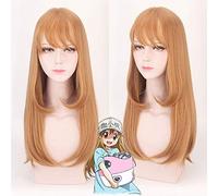 Biamoxer Hataraku Saibou Parrucca Cosplay Globuli rossi al lavoro Macrofagi piastrine nel sangue Plt Capelli sintetici lunghi dritti Dm068