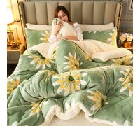 Biancheria da letto invernale Coperta trapuntata spessa Trapunta calda in pile di flanella ispessita per le notti fredde Set piumini da letto Trapunte le coperte