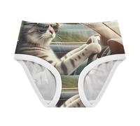 Biancheria intima in cotone per bambini, con gattino che guida un'automobile, 2-8 anni, Divertente gatto guida auto, 4 anni