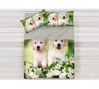 BIANCHERIAWEB Lenzuola Copriletto Letto Sogni d'oro 100% Cotone Disegno Springdog 64 Singolo Springdog 64