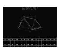 Bianchi Bicicletta Da Gravel Arcadex Pro Grx822 2024 Forest Green / Graphite Matt