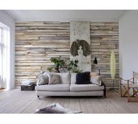 Bianco Rovere Foto Parati 366x254cm Soggiorno Camera da Letto Slavato Legno