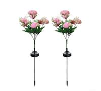 Bianco Viola Rosa Multi-colore Solar Garden Lights(Rosa)