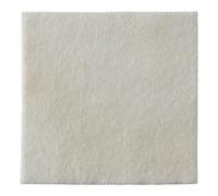 Biatain Alginate Medicazione 10x10 cm 10 Pezzi
