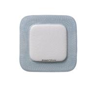 Biatain Silicone 33400 10x20cm Coloplast 5 Pezzi