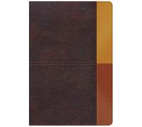 Biblia: Rvr 1960 Biblia De Estudio Chitarra Acustica Arcoiris,Cacao/Terracotta
