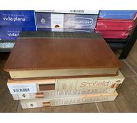 Biblia De Estudio Chitarra Acustica Scofield Riena Valera 1960, Piel Simil Verde