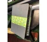 Biblia Di Studio Del Diario Vivere Ntv, SENTIPIEL GRIGIO VERDE CON INDICE