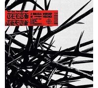 Biblical Worship Of Violence