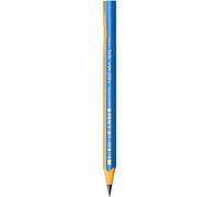 BIC 919262 - Pennino di apprendimento