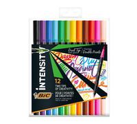 Bic Intensità doppio punto blister
