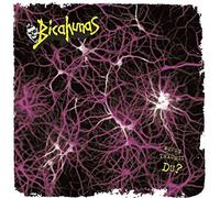 BICAHUNAS - WOVON TRAEUMST DU?