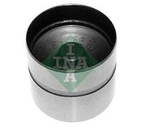 INA 420 0210 10 Punteria idraulica