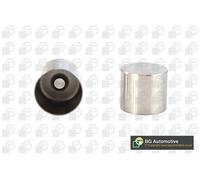 Bicchiere punteria valvole Lato aspirazione meccanico HL7359 BGA per RENAULT