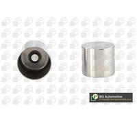 Bicchiere punteria valvole Lato aspirazione meccanico HL7371 BGA per RENAULT