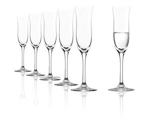 Bicchieri da Grappa Classic Set di 6, 100 ml - Bicchieri di Alta Qualità per Grappa, Distillati & Tresterbrand - Calici Digestivi Eleganti in Cristallo - Lavabili in Lavastoviglie & Made in Germany