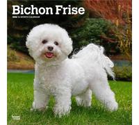 BrownTrout – Calendario da parete Bichon Frise 2026, quadrato mensile 30,5x61 cm, senza plastica