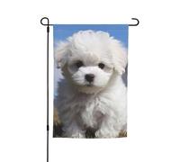 Bichon Frise, bandiera per cani, 30,5 x 45,7 cm, bandiera verticale su entrambi i lati, bandiera da giardino, grande striscione per casa, cortile, bandiera decorativa per esterni, per prato
