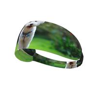 Bichon Frise Bokeh Animali Cani Parco Cani Bianchi,Fascia elastica per capelli multiuso unisex, fascia antisudore sportiva