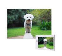 Bichon Frise Bokeh Animali Cani Parco Cani Bianchi,Puzzle in legno da 1000 pezzi per famiglie, puzzle per adulti e adolescenti