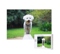 Bichon Frise Bokeh Animali Domestici Cani Parco Cani Bianchi,Puzzle in legno da 300 pezzi per famiglie, per adulti e adolescenti, decorazioni per la casa