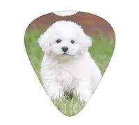 Bichon Frise Dog Chitarra Plettri Classici Triangolo Basso Acustico Ed Elettrica Plettri Per Chitarra Per Chitarristi 12 Pezzi