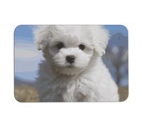 Bichon Frise Dog Diatome, tappetino da bagno assorbe umidità e sporco, con retro in gomma antiscivolo, adatto sotto la porta, per pavimento del bagno, vasca, doccia, lavandino