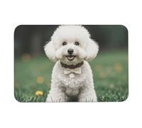 Bichon Frise Dog on the Grass Diatomom fango, tappetino da bagno assorbe umidità e sporco, zerbino con retro in gomma antiscivolo, adatto sotto la porta, per pavimento del bagno, vasca, doccia