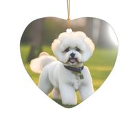 Bichon Frise Dog on the grass Print Bridal Shower Gifts Mr & Mrs Ornamento di Natale, un regalo unico ricordo di nozze