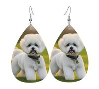 Bichon Frise Dog On The Grass Print Orecchini a goccia donne gioielli di moda regalo per San Valentino decorazione vacanza viaggio