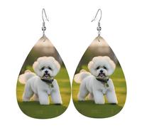 Bichon Frise Dog On The Grass Print Orecchini a goccia per le donne in pelle orecchini pendenti gioielli per festa di compleanno San Valentino