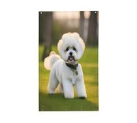 Bichon Frise Dog on the grass Stampa Bandiera decorativa per esterni per tutte le stagioni modello su un solo lato cortile portico patio