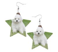 Bichon Frise Dog - Orecchini da donna alla moda, orecchini pendenti celesti, gioielli a forma di stella per un versatile, One Size, Pelle