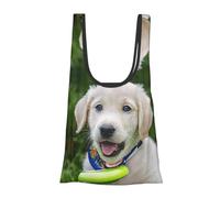 Bichon Frise Dog Print Pieghevole Riutilizzabile Borsa per la spesa leggera Borsa per la spesa Borsa per la spesa Viaggi Spiaggia Eco-Friendly Compact Adventure Tote