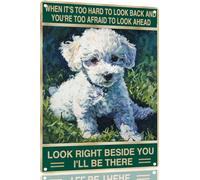 Bichon Frise "Guarda Proprio Accanto A Te" Targa Achtung Pittura Poster Con Placca Decorazione Cartello In Metallo Per Cucina Pub Man Cave 20X30 Cm