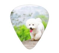 Bichon Frise Park Animali Cani Bichon Frise Cani,12 pezzi di plettri per chitarra, 3 plettri di diverso spessore per chitarra acustica, basso, ukulele