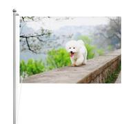 Bichon Frise Park Animali Cani Bichon Frise Cani,Bandiera da giardino, bandiera decorativa da cortile, bandiera bifacciale, 2x3 piedi, per esterni e interni