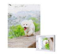 Bichon Frise Park Animali domestici Cani Bichon Frise Cani,Puzzle in legno da 500 pezzi per adulti e adolescenti