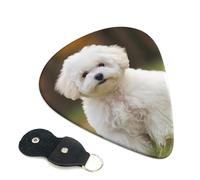 Bichon Frise - Plettri per chitarra a forma di cane, spessore 0,96 mm, in celluloide, con supporto in pelle, per basso, chitarra elettrica, acustica, regalo per gli amanti