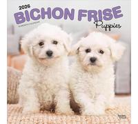 Bichon Frise Puppies | Calendario da parete 2026 30,5 x 61 cm (appeso) mensile | senza plastica | BrownTrout | Animali cani razze cucciolo
