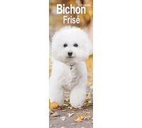 Bichon Frise Slim 2025 Slimline Wall Calendar | Dog Breed Calendar