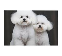 Bichon Frise - Tappeto in morbido velluto di cristallo, lavabile, per soggiorno, moderno, antiscivolo, per camera da letto, cucina, sala da pranzo