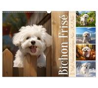 Bichon frisé, weiße Hündchen mit lockigem Haar (Wandkalender 2026 DIN A3 quer), CALVENDO Monatskalender: Entzückende KI-Bilder dieser niedlichen Hunderasse