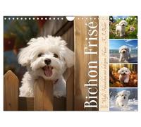 Bichon frisé, weiße Hündchen mit lockigem Haar (Wandkalender 2026 DIN A4 quer), CALVENDO Monatskalender: Entzückende KI-Bilder dieser niedlichen Hunderasse