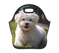 Bichon on the grass - Borsa termica per il pranzo, unisex, impermeabile, riutilizzabile, portatile, per lavoro, ufficio, picnic, viaggi