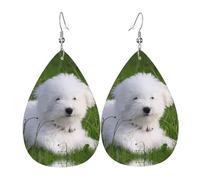 Bichon on the grass Pattern orecchini, orecchini in pelle per donne, adatti per feste e uso quotidiano