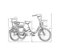Bici a Tre Ruote Triciclo Adulti 20 Pollici, Doppia Catena, Ammortizzatore, Forcella Anteriore, Bicicletta Adulti con Cestino della Spesa e Sedile Posteriore, Bici a 3 Ruote Anziani, Donne, Uomini,